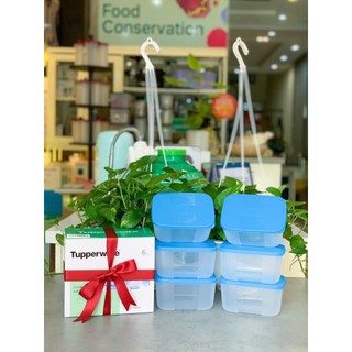 Hộp Đông Lẻ Tách Set Tupperware (01 Hộp)