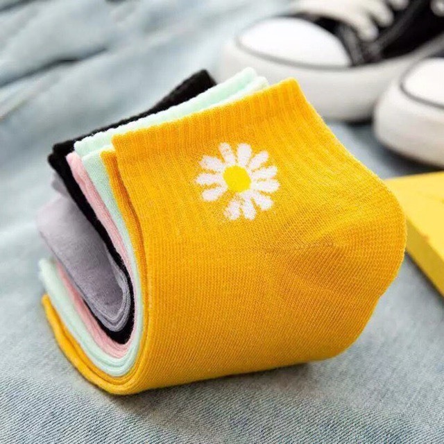 Tất, vớ nữ cổ ngắn chất liệu cotton, co giãn 4 chiều, thấm hút mồ hôi tốt phong cách Lolita dễ thương