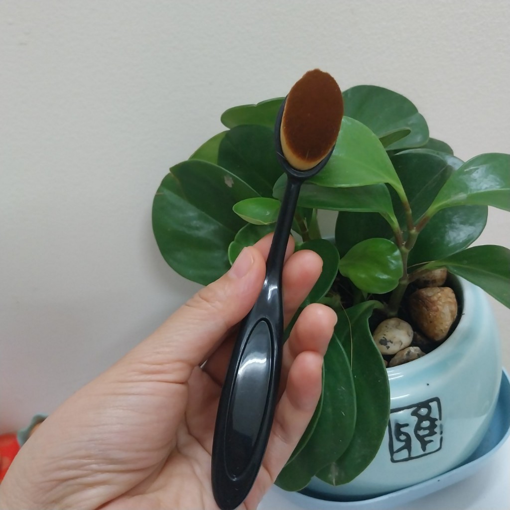 Cọ đánh, tán kem nền hình Ovan trang điểm chuyên dụng KN02