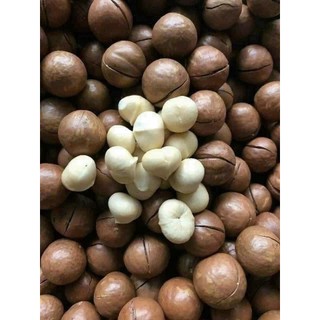 Hạt Macca Organic nứt vỏ