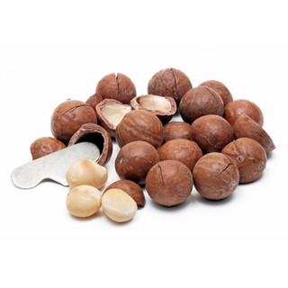 Hạt Macca Organic nứt vỏ