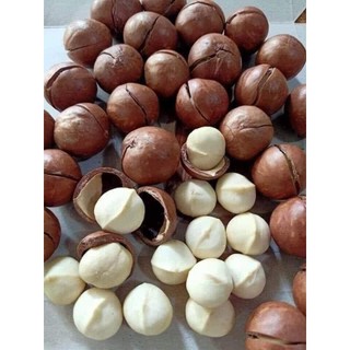 Hạt Macca Organic nứt vỏ
