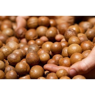 Hạt Macca Organic nứt vỏ