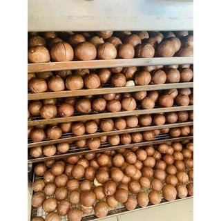 Hạt Macca Organic nứt vỏ