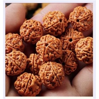 Combo 5 hạt đá mã não xanh (bán lẻ )