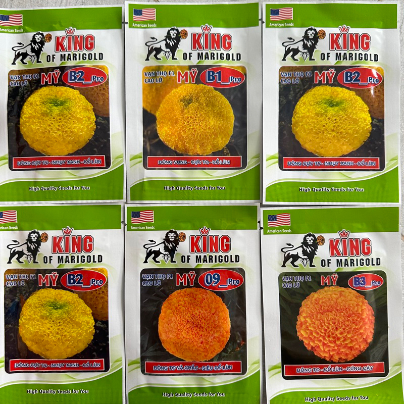 (Mới nhất năm nay) Hạt giống hoa Vạn thọ Rồng Vàng dòng mới King sư tử