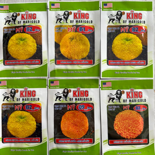  Gói lớn 1gr 300-400 hạt  Hạt giống Hoa Vạn Thọ Rồng Vàng Mỹ dòng mới KING Sư Tử hoa to chắc cổ nảy mầm mạnh 