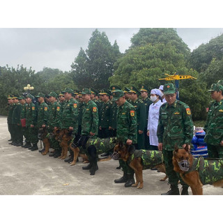 Áo chống rét dành cho Chó