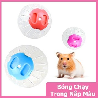 Bóng Chạy Trong Suốt Nắp Nhiều Màu Cho Hamster-Rat-Đuôi Mập