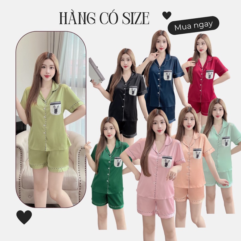 ⚡️ẢNH SHOP CHỤP⚡️ Bộ lụa Latin quần ngắn nhiều tông màu nhiều size