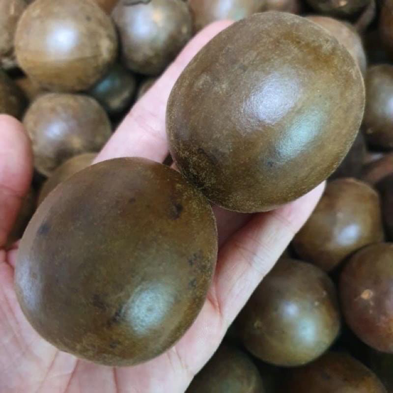 Sỉ 1kg Quả La Hán TO ĐẠI  Quả To, Khô Già, Không Vỡ