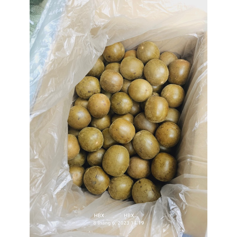 Sỉ 1kg Quả La Hán TO ĐẠI  Quả To, Khô Già, Không Vỡ