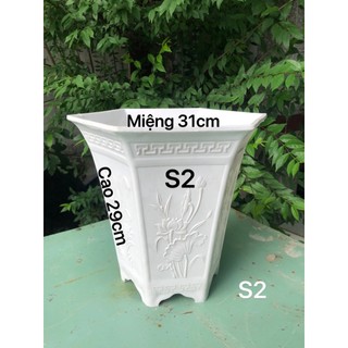 Chậu nhựa lục giác cao s2 trồng cây màu trắng