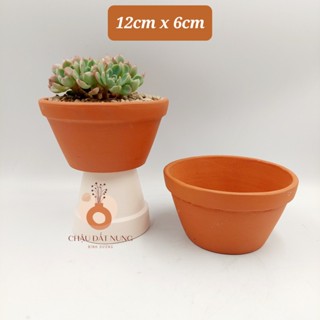 Chậu đất nung, Chậu sen đá - Cái thau 126, đường kính miệng 12cm, chiều cao 6cm