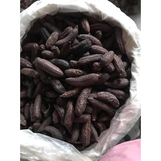 Quả Chuối Hột Rừng Hàng Loại 1