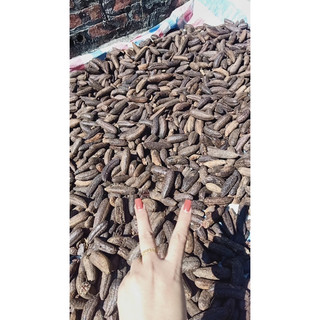 Quả Chuối Hột Rừng Hàng Loại 1