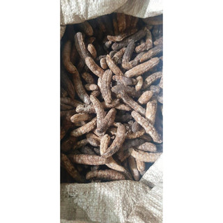 Quả Chuối Hột Rừng Hàng Loại 1