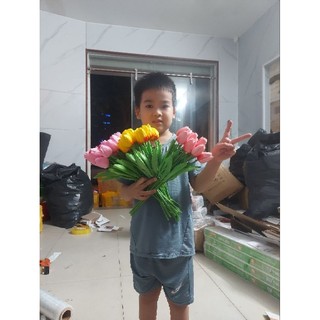 Hoa tuylip deco trang trí