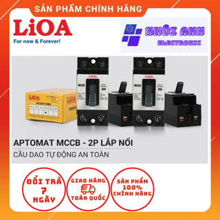 Cầu dao tự động dạng khối - cầu dao cóc - aptomat mccb 2 cực