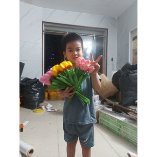 Hoa tuylip deco trang trí