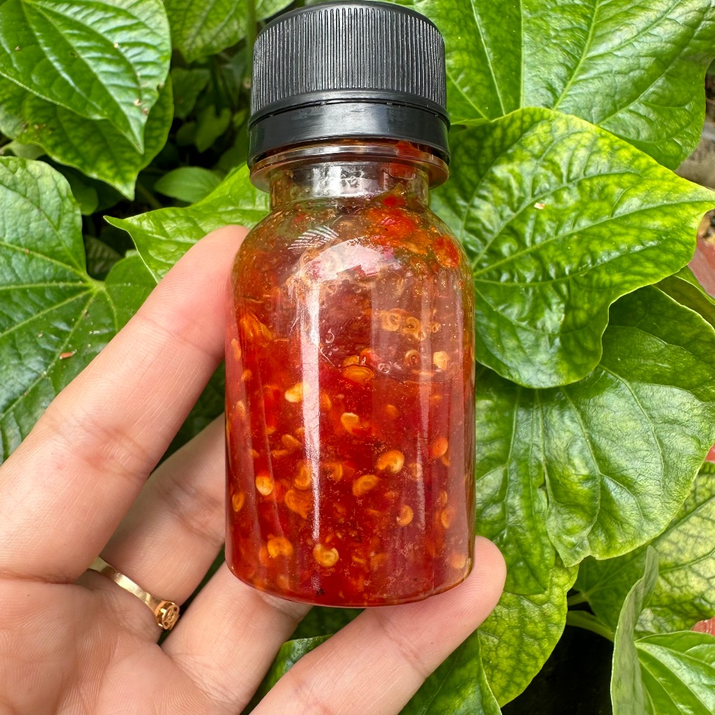 Combo 6 Món Bánh Tráng Phơi Sương + Muối Tép Hành Phi + Tốp Mỡ + Sốt Tắc + Ớt Rim kèm Tốp Mỡ Giòn Rụm