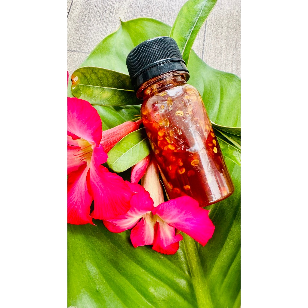 Combo Quá Đã Bánh Tráng Phơi Sương + Muối Tép Hành Phi + Bơ Béo + Sốt Tắc kèm Tốp Mỡ Giòn Rụm