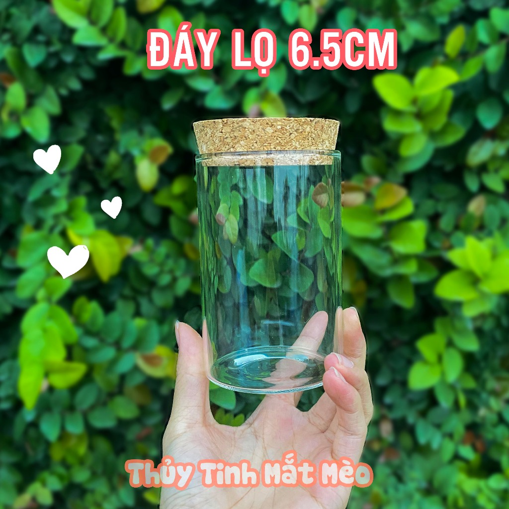 Lọ thủy tinh nút bần loại to - Chai thủy tinh nút gỗ đáy 6.5cm chất liệu trong suốt cao cấp 220 270 310 400ml