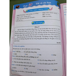Sách- BÀI TẬP TUẦN TIẾNG VIỆT 1 (tập 2)