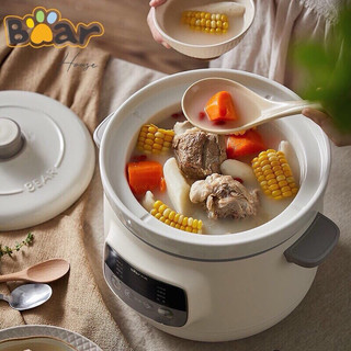NỒI HẦM CHẬM ĐA NĂNG BEAR D30E2 DUNG TÍCH 3L
