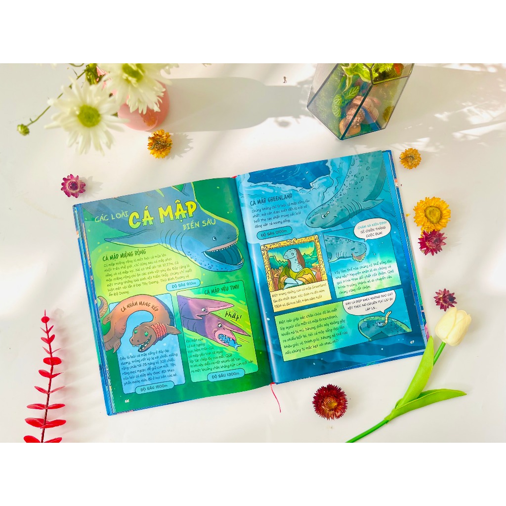 Sách - Siêu Nhí Khám Phá Đại Dương