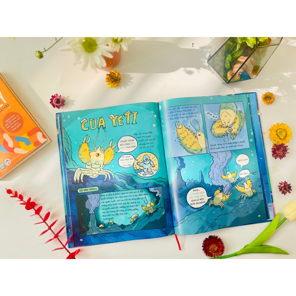 Sách - Siêu Nhí Khám Phá Đại Dương