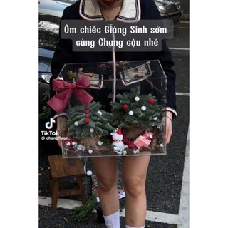 Hộp đựng quà Noel - Hộp mica trồng Xương rồng - Box mica trang trí quà tặng