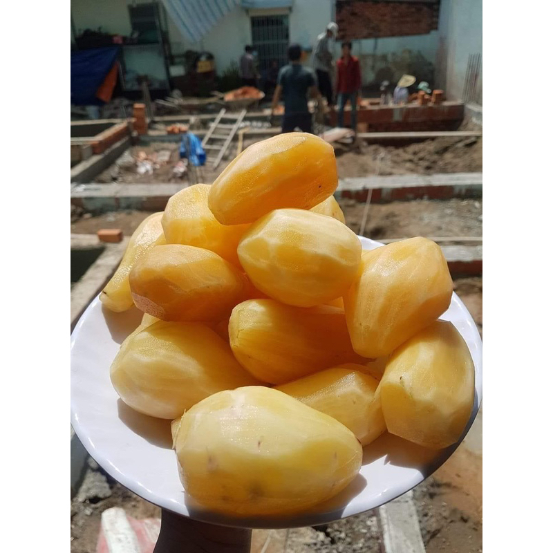 Combo 4kg Khoai sâm đất