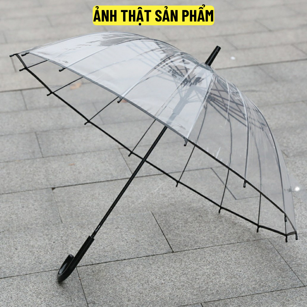 Dù trong suốt 16 nan thép, bấm nút mở tự động Mingroup, Ô trong suốt che mưa cao cấp thời trang, bền cao - BH 6 tháng