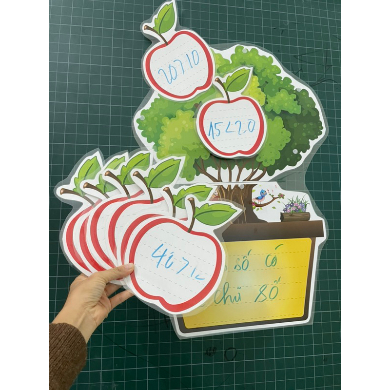 Cây táo viết xoá được sẵn nam châm lá