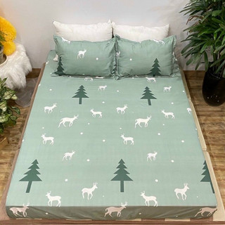 Bộ Ga Gối Poly Cotton Nhiều Mẫu Đẹp (nhiều mẫu mới chọn mẫu)