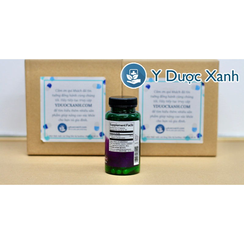 SWANSON AVENA SATIVA, 60 viên, Hỗ trợ sức khỏe sinh lý cho người lớn