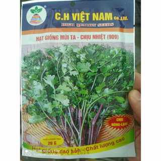Hạt mùi ta chịu nhiệt - mùi tía
