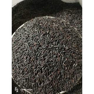 [ COMBO 2kg ] Gạo Lứt Đen Dẻo Điện Biên ( Gạo Loại 1 )