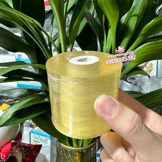 Keo cuộn nylong quấn nóng giảm béo, ủ tê các cỡ