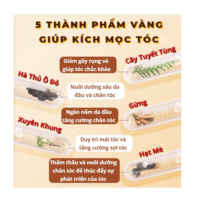 Dầu gội DHT Kích mọc tóc, giảm rụng, dưỡng tóc chắc khỏe - Chính Hãng Mỹ