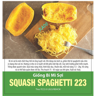 Bí mì sợi spaghetti/bí bơ/bí fancy mix/bí thơm Bắc Kan/Bí ngồi/bầu hồ lô/bầu trái ngắn