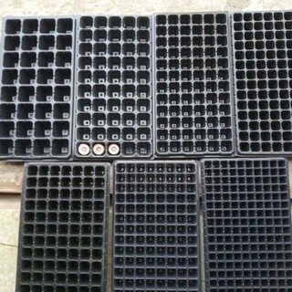 Khay ươm hạt 32 lỗ, 50 lỗ, 72 lỗ, 105 lỗ, 108 lỗ, 200 lỗ