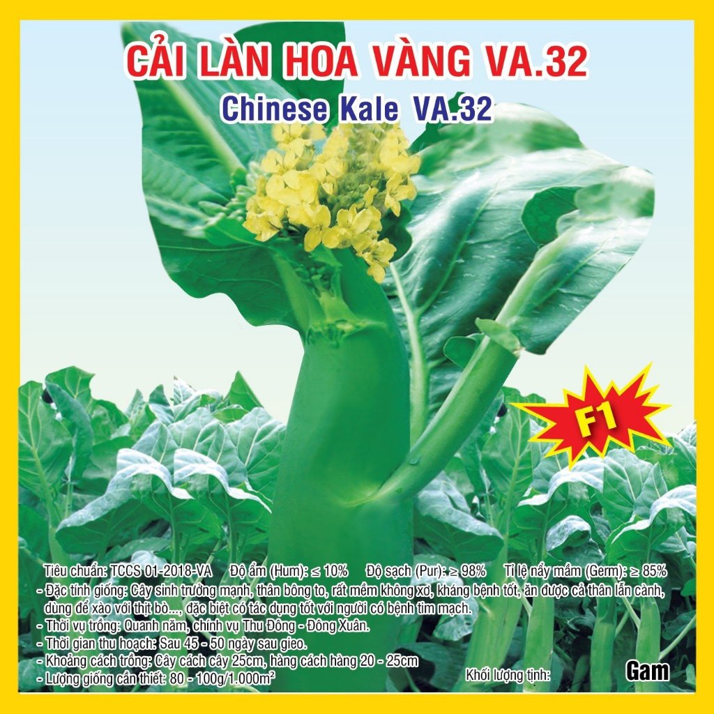 Hạt giống Cải làn hoa vàng F1 VA.32 20gam