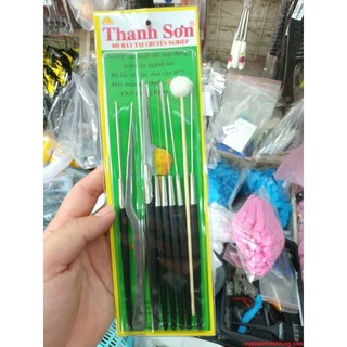 Bộ lấy ráy tai cao cấp 8 món Thanh Sơn.