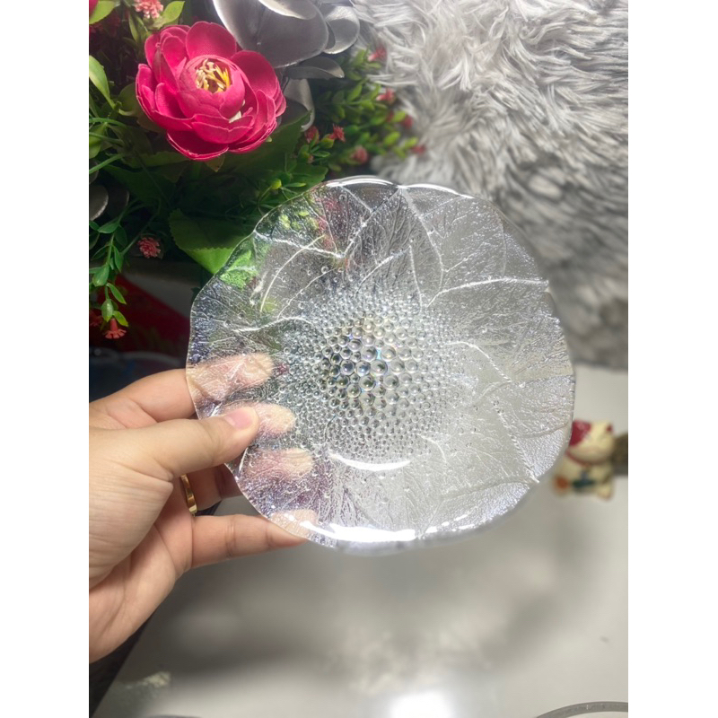 Dĩa thuỷ tinh nhật nhiều mẫu