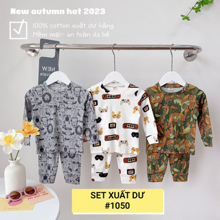SET XUẤT DƯ NAM