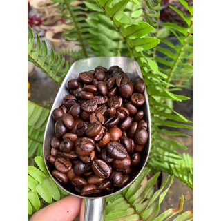 1 Kg Cà phê bột pha phin ( trộn nhiều cà phê để pha phin ngon hơn)