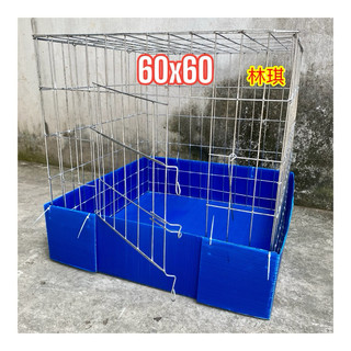 Lồng gà chọi kèm khay, lồng gà 60v cao 60 kẽm to nặng 3kg