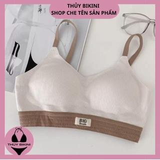Áo lót cotton tăm có đệm mỏng A567 không gọng
